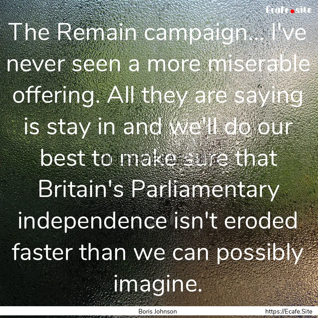 The Remain campaign... I've never seen a.... : Quote by Boris Johnson