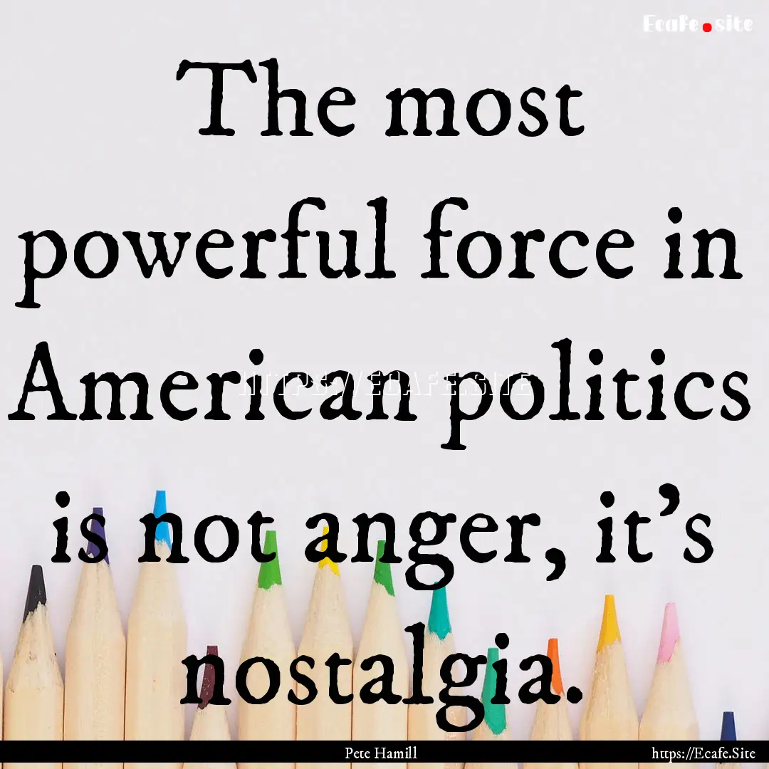 The most powerful force in American politics.... : Quote by Pete Hamill