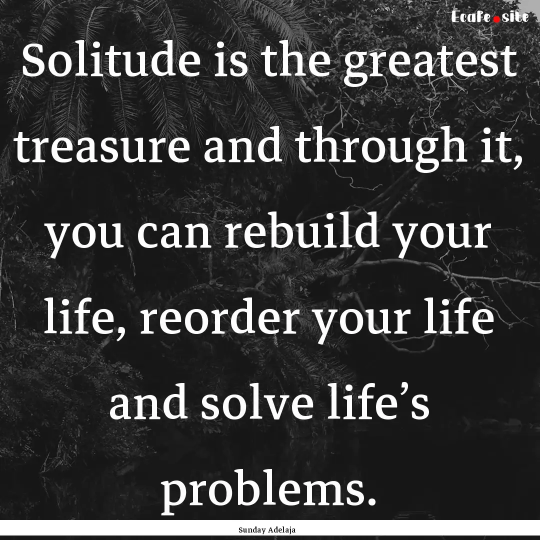 Solitude is the greatest treasure and through.... : Quote by Sunday Adelaja