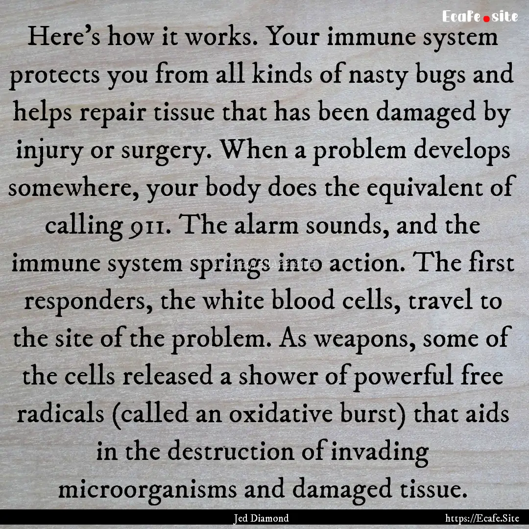 Here's how it works. Your immune system protects.... : Quote by Jed Diamond