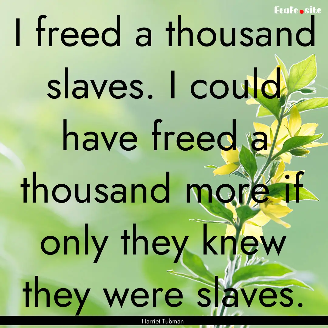 I freed a thousand slaves. I could have freed.... : Quote by Harriet Tubman