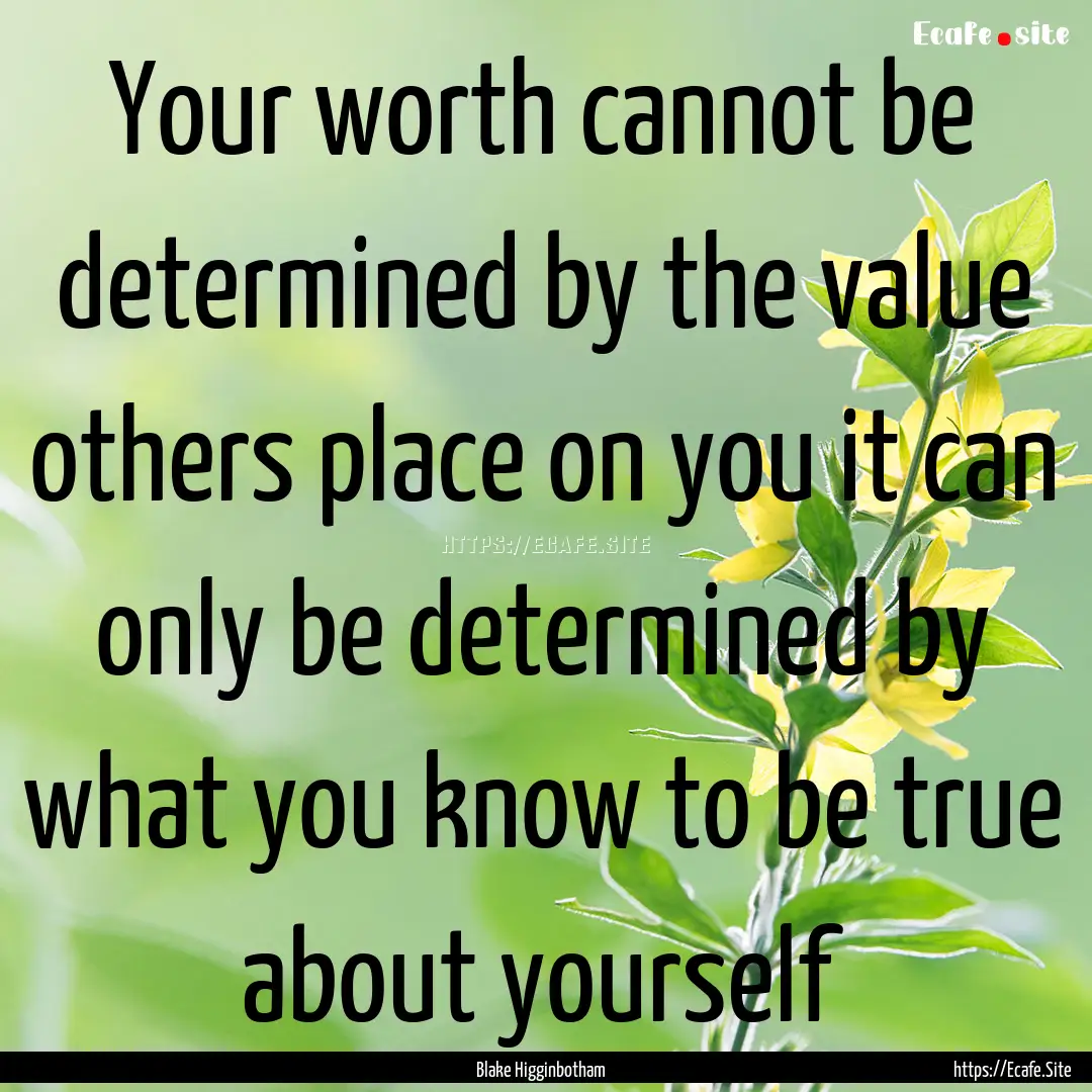 Your worth cannot be determined by the value.... : Quote by Blake Higginbotham