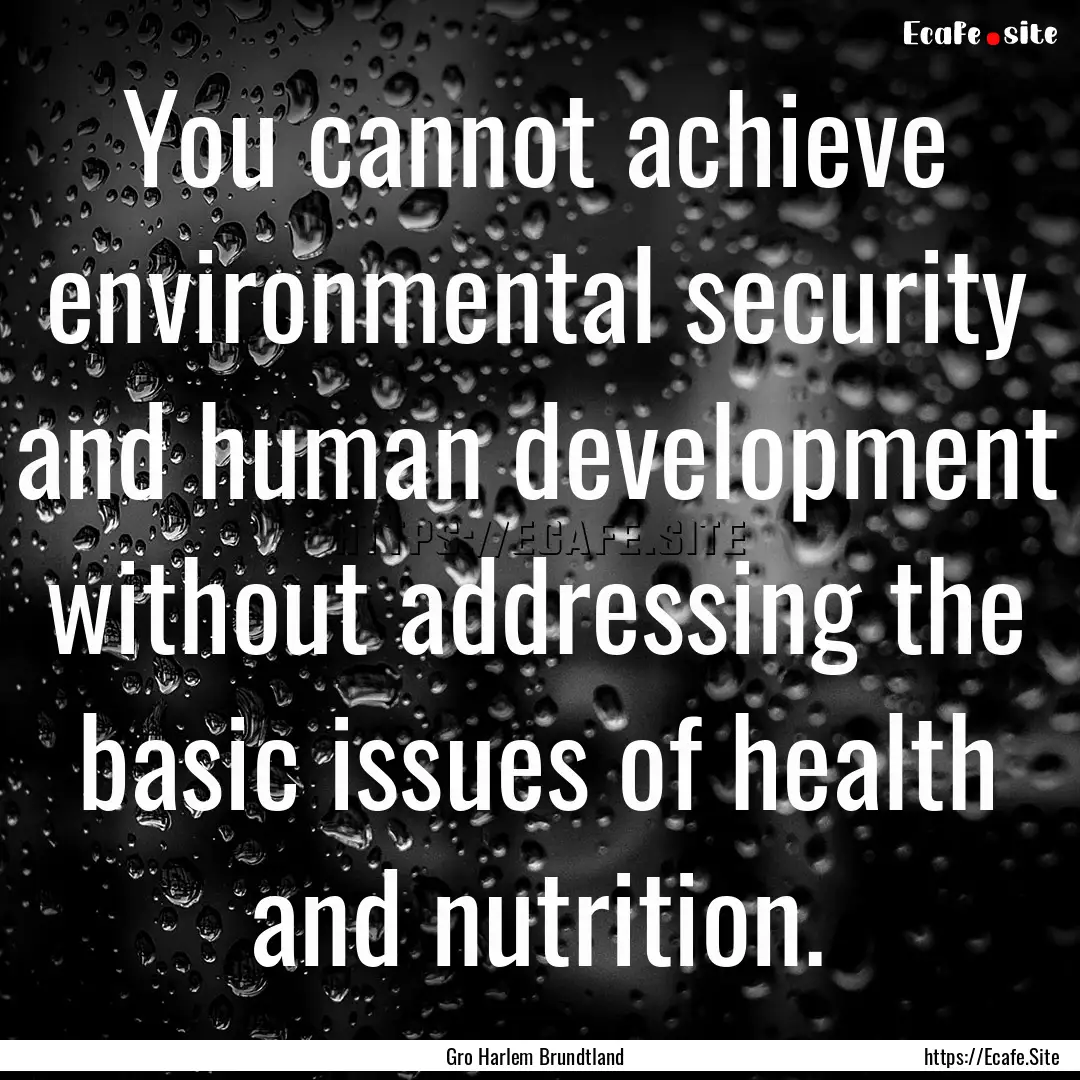 You cannot achieve environmental security.... : Quote by Gro Harlem Brundtland