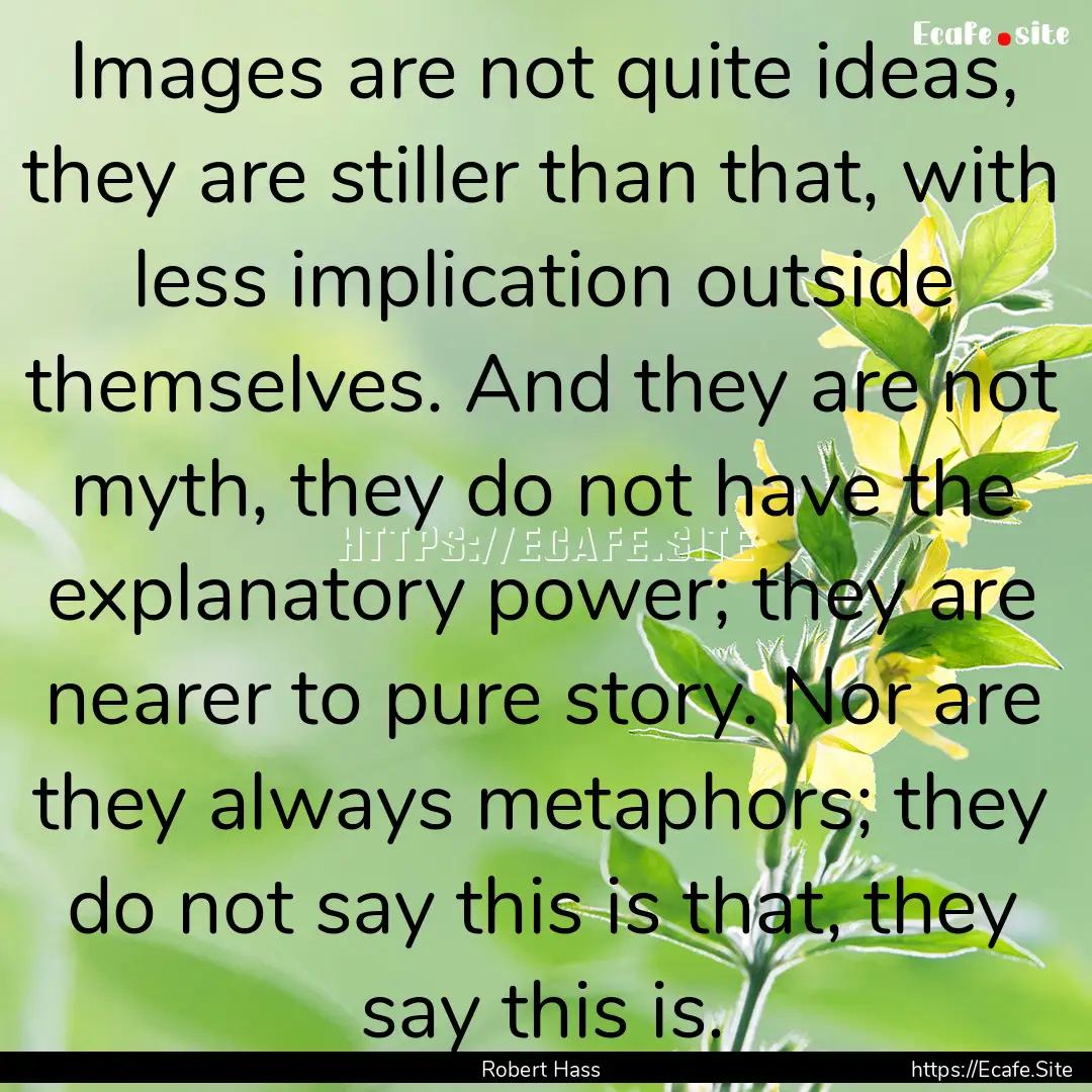 Images are not quite ideas, they are stiller.... : Quote by Robert Hass