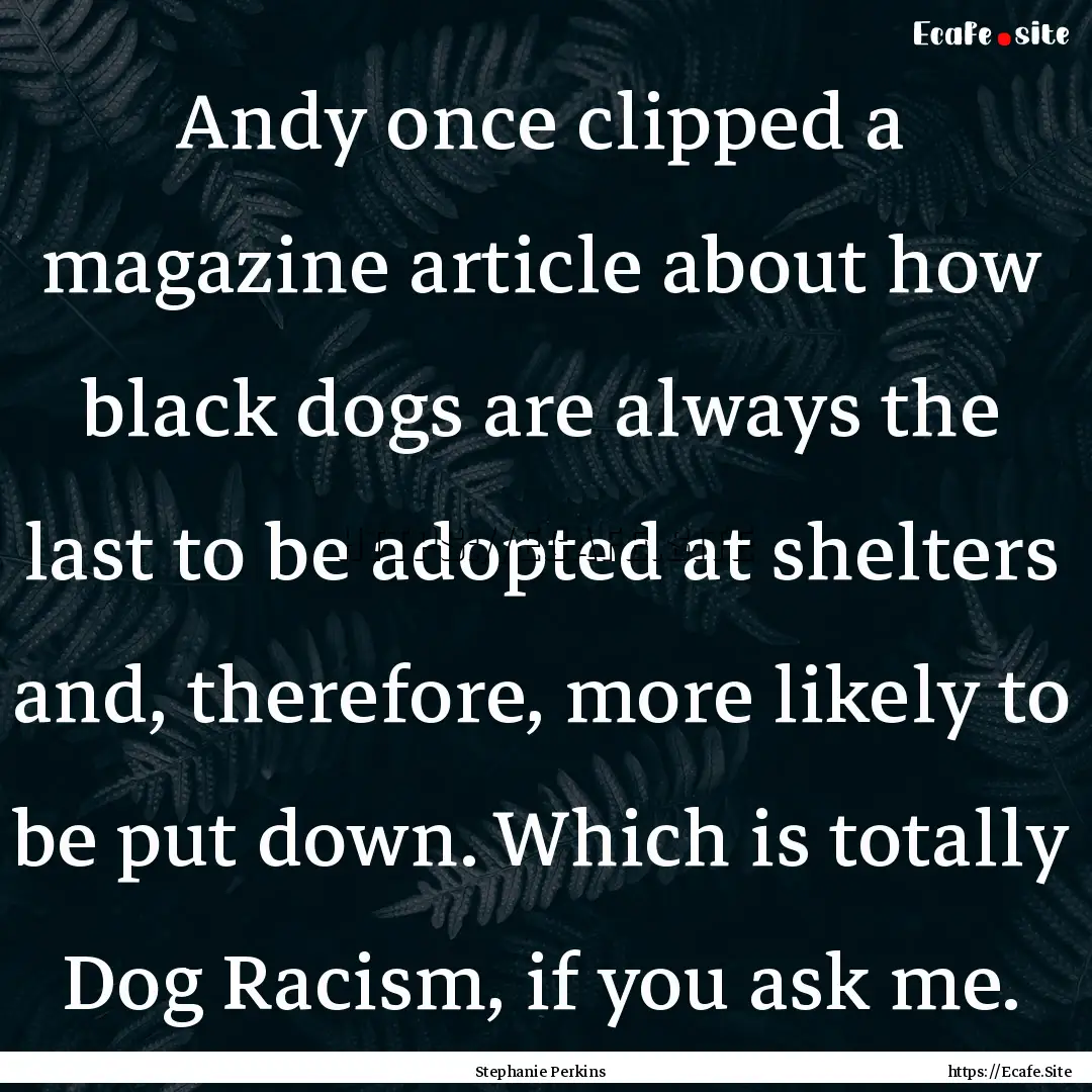 Andy once clipped a magazine article about.... : Quote by Stephanie Perkins