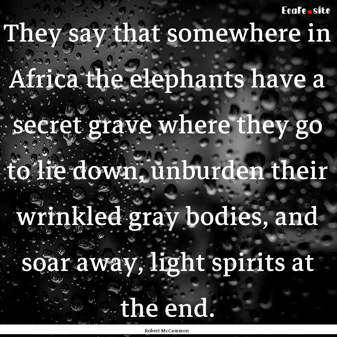 They say that somewhere in Africa the elephants.... : Quote by Robert McCammon