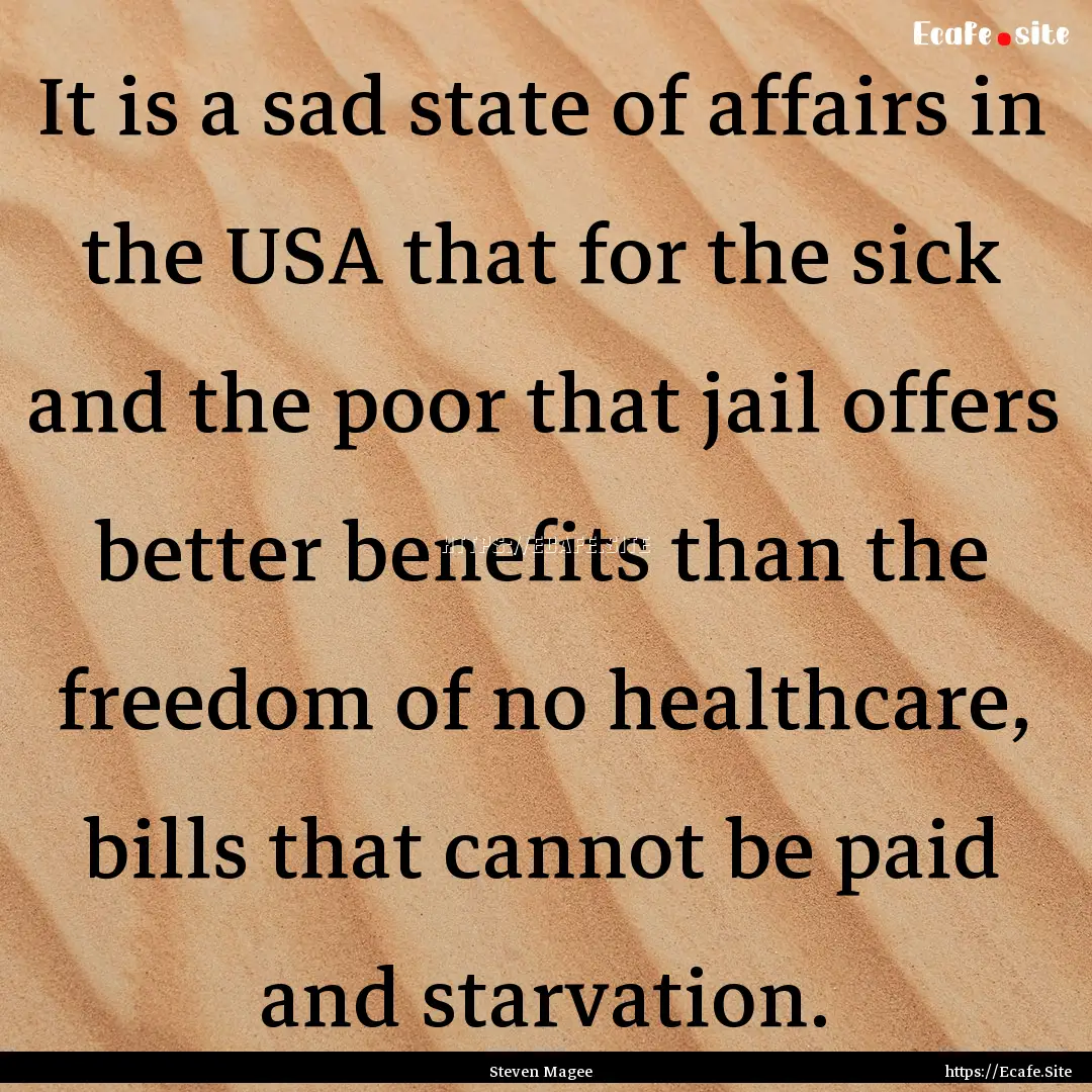 It is a sad state of affairs in the USA that.... : Quote by Steven Magee