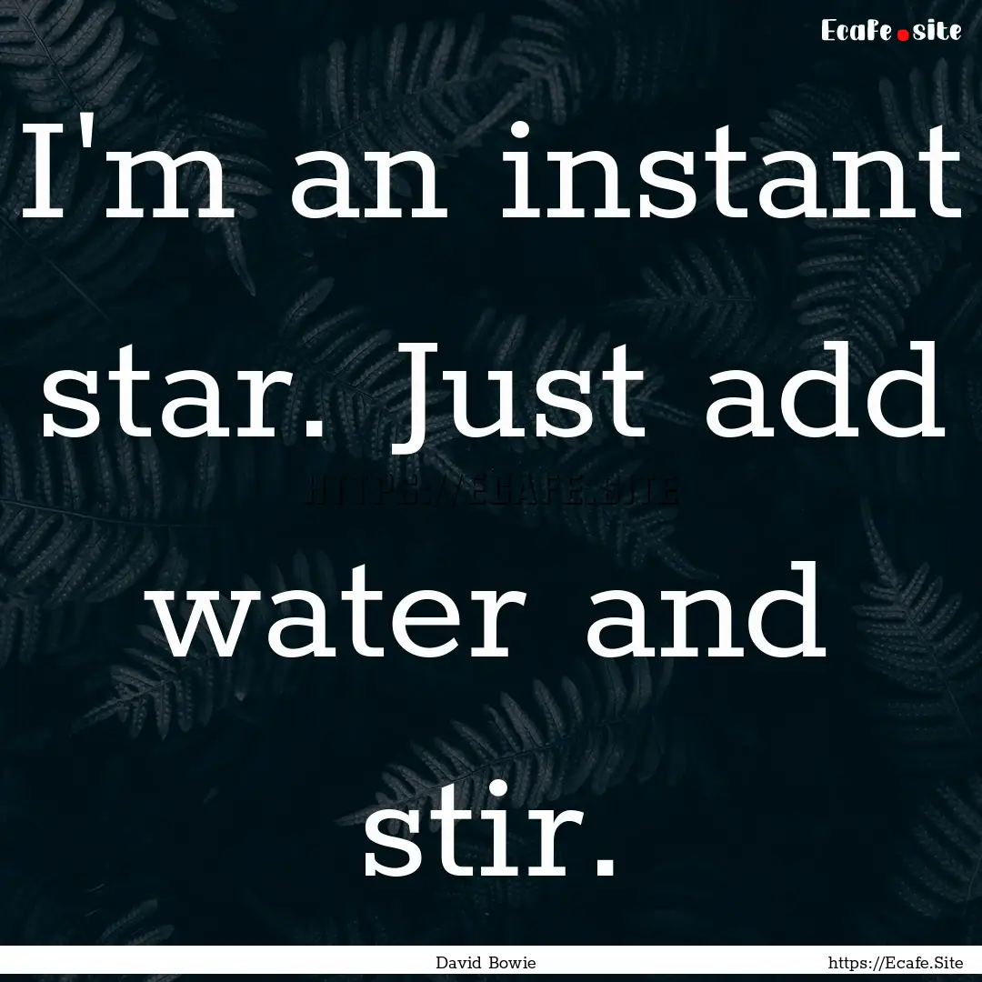 I'm an instant star. Just add water and stir..... : Quote by David Bowie