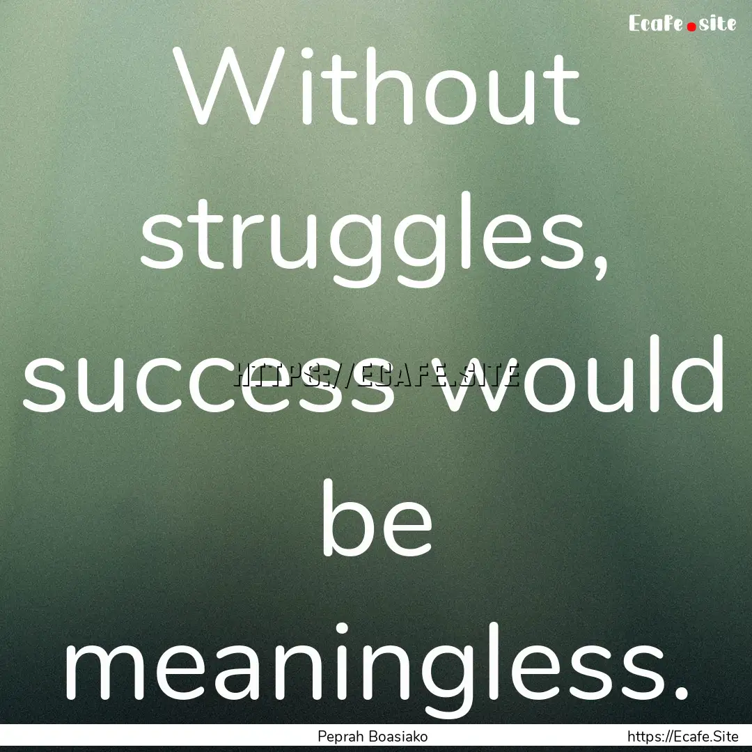 Without struggles, success would be meaningless..... : Quote by Peprah Boasiako