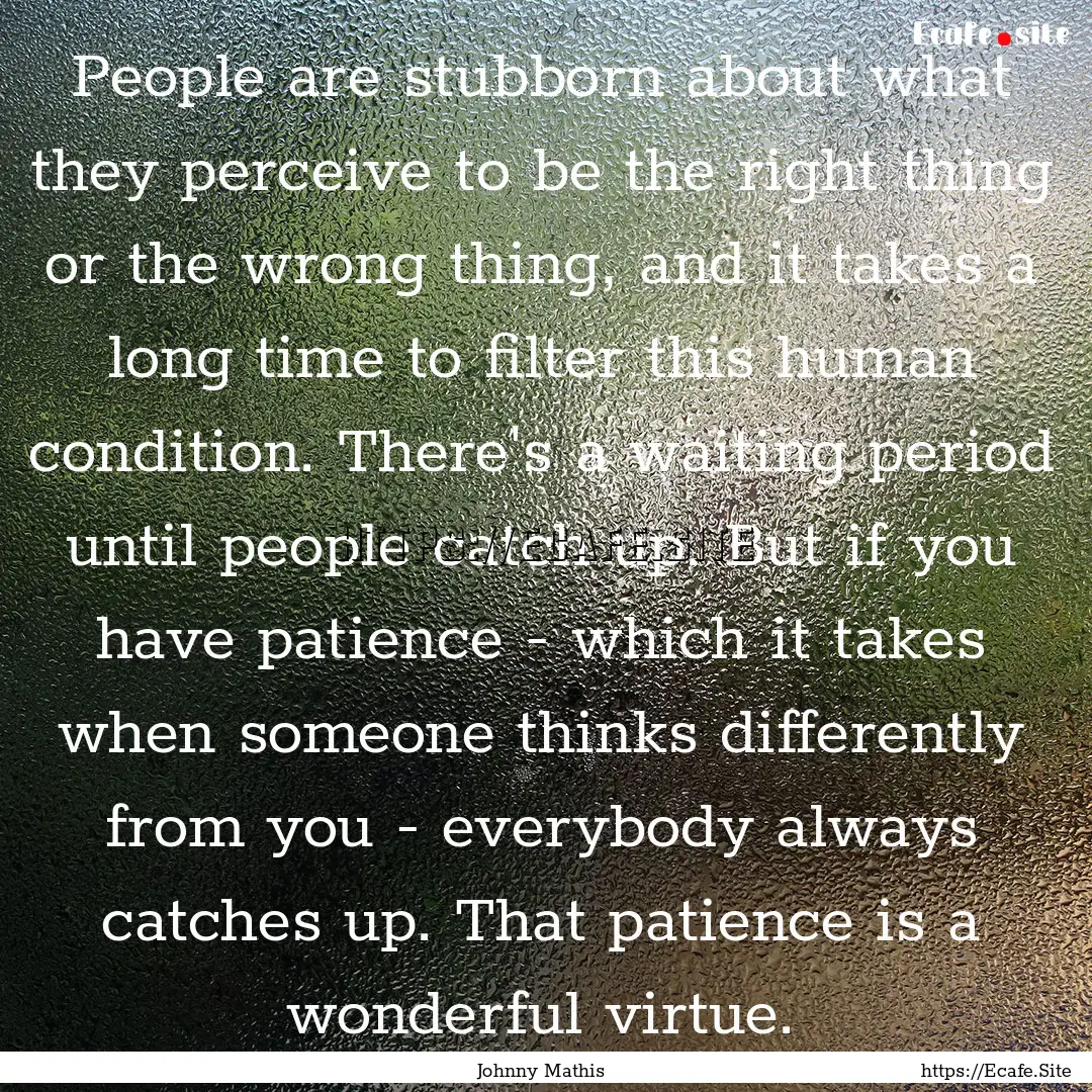 People are stubborn about what they perceive.... : Quote by Johnny Mathis