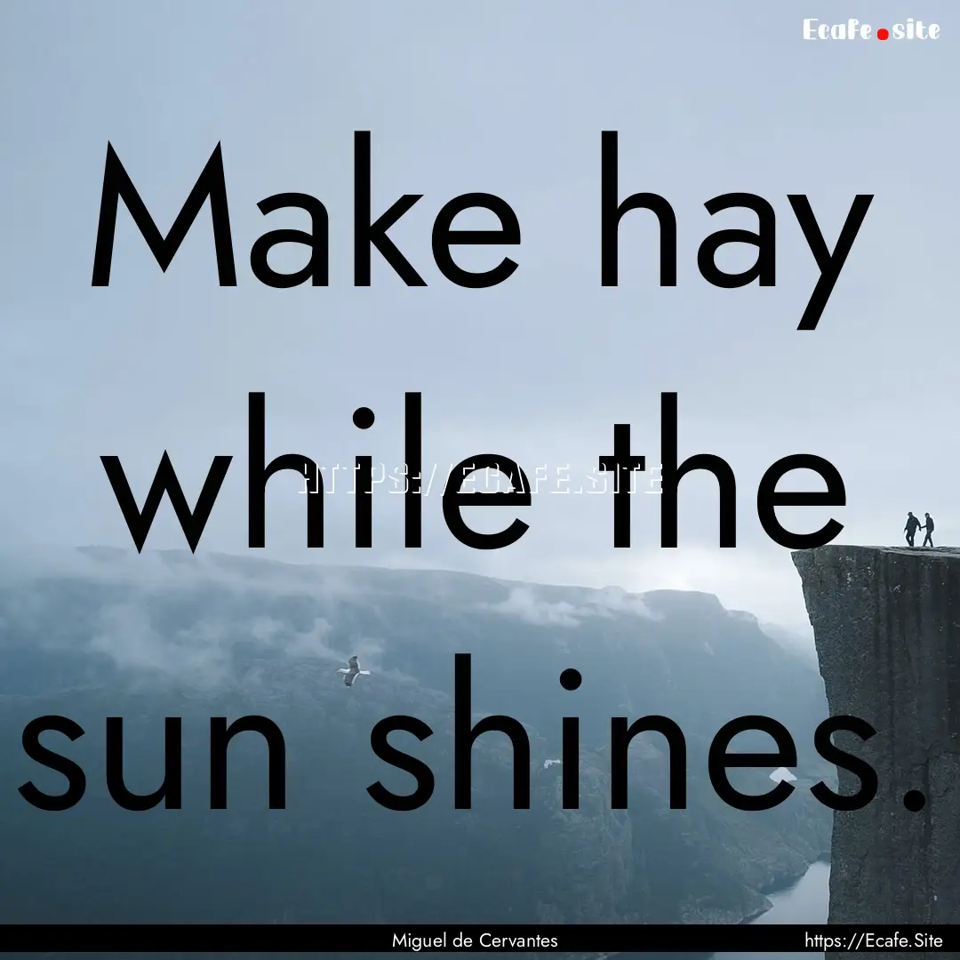 Make hay while the sun shines. : Quote by Miguel de Cervantes