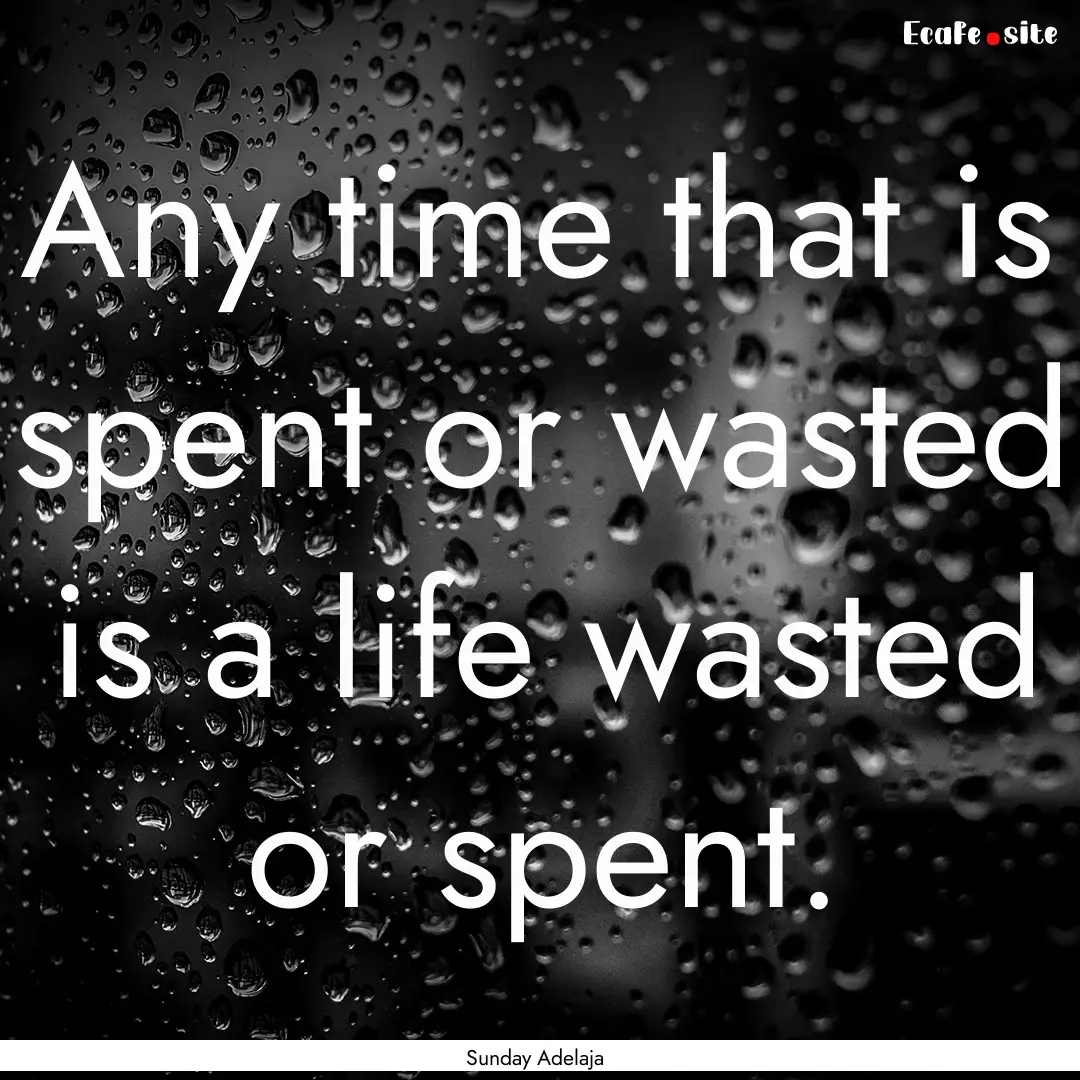 Any time that is spent or wasted is a life.... : Quote by Sunday Adelaja