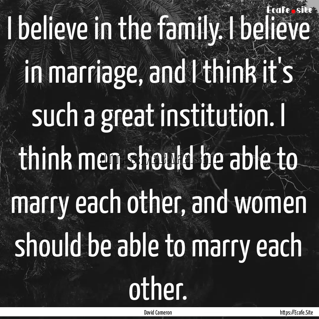 I believe in the family. I believe in marriage,.... : Quote by David Cameron