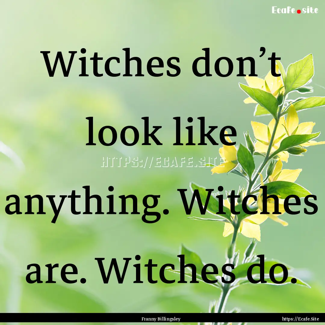 Witches don’t look like anything. Witches.... : Quote by Franny Billingsley