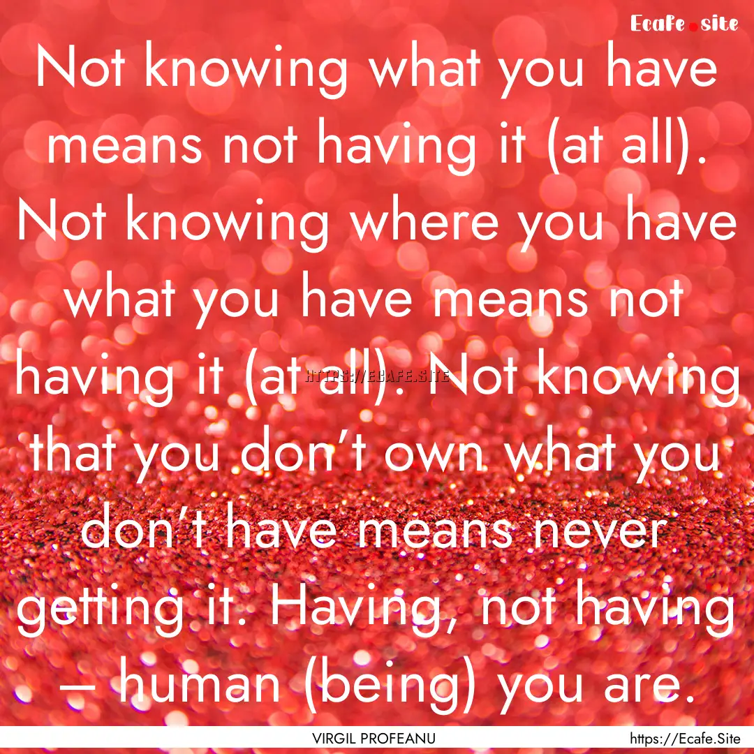 Not knowing what you have means not having.... : Quote by VIRGIL PROFEANU