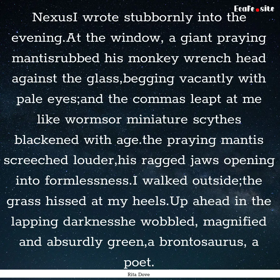 NexusI wrote stubbornly into the evening.At.... : Quote by Rita Dove