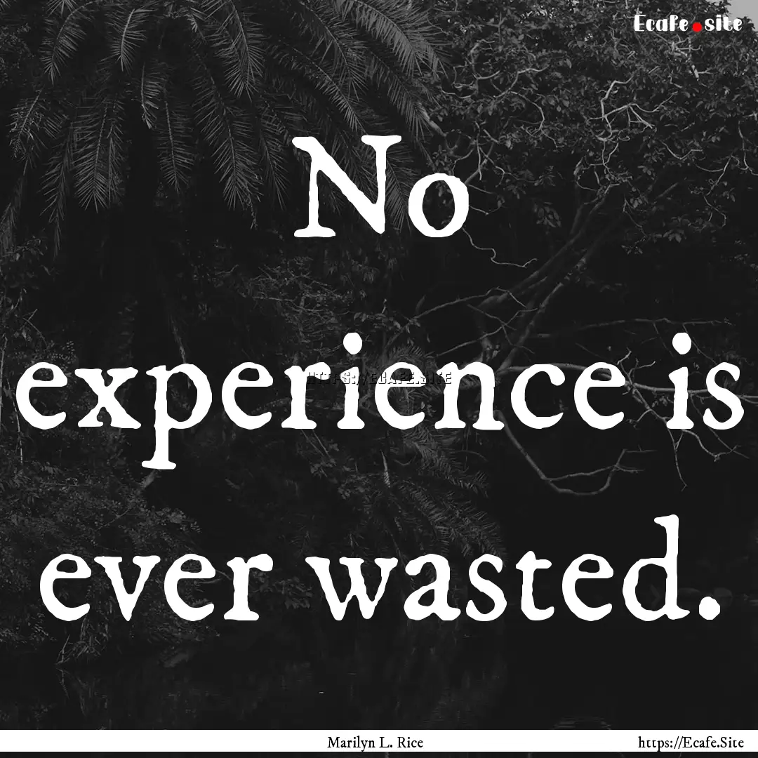 No experience is ever wasted. : Quote by Marilyn L. Rice