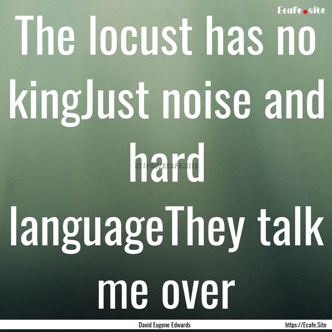 The locust has no kingJust noise and hard.... : Quote by David Eugene Edwards