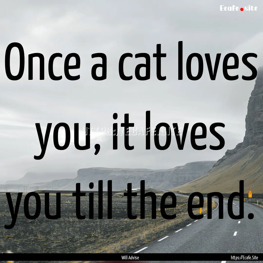 Once a cat loves you, it loves you till the.... : Quote by Will Advise