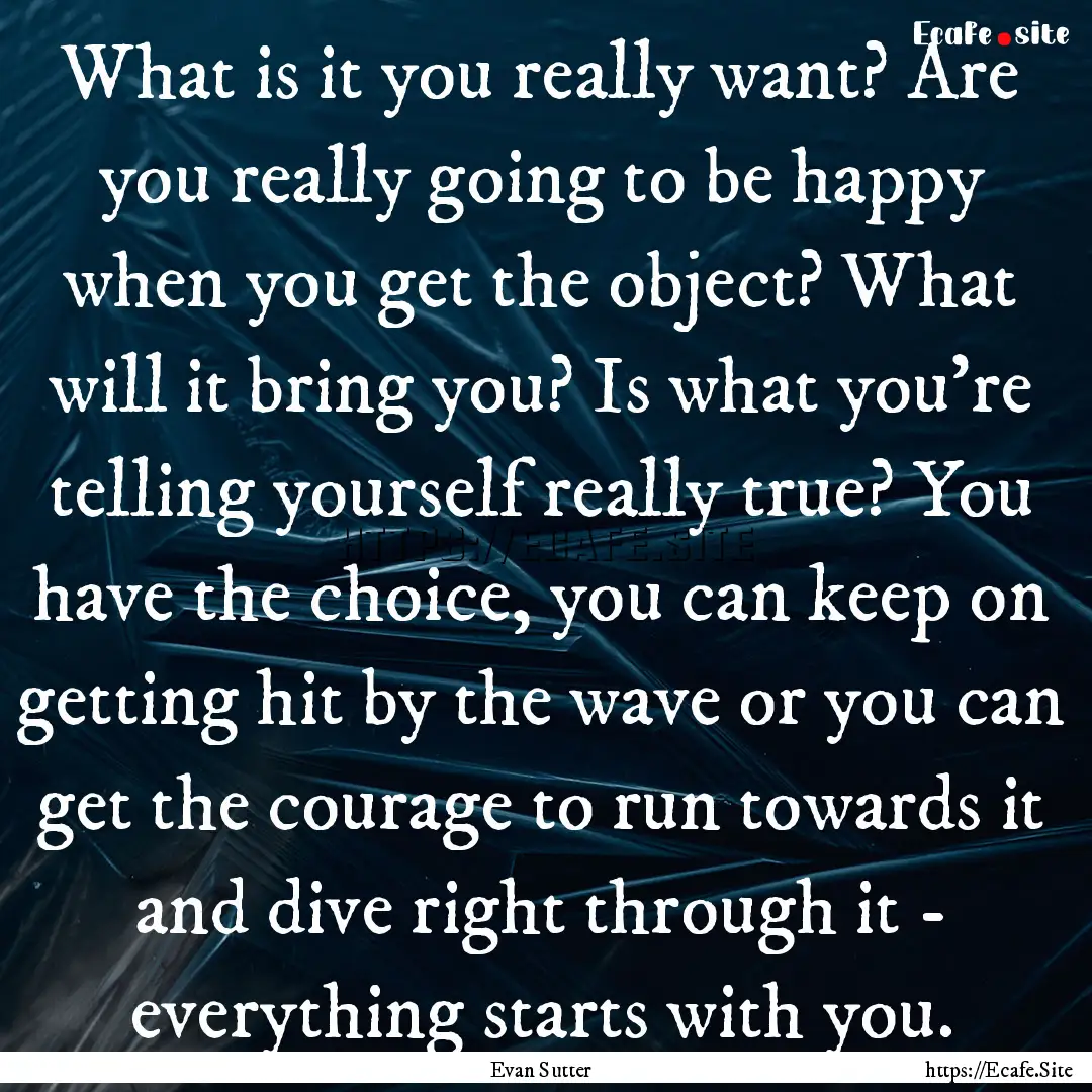 What is it you really want? Are you really.... : Quote by Evan Sutter