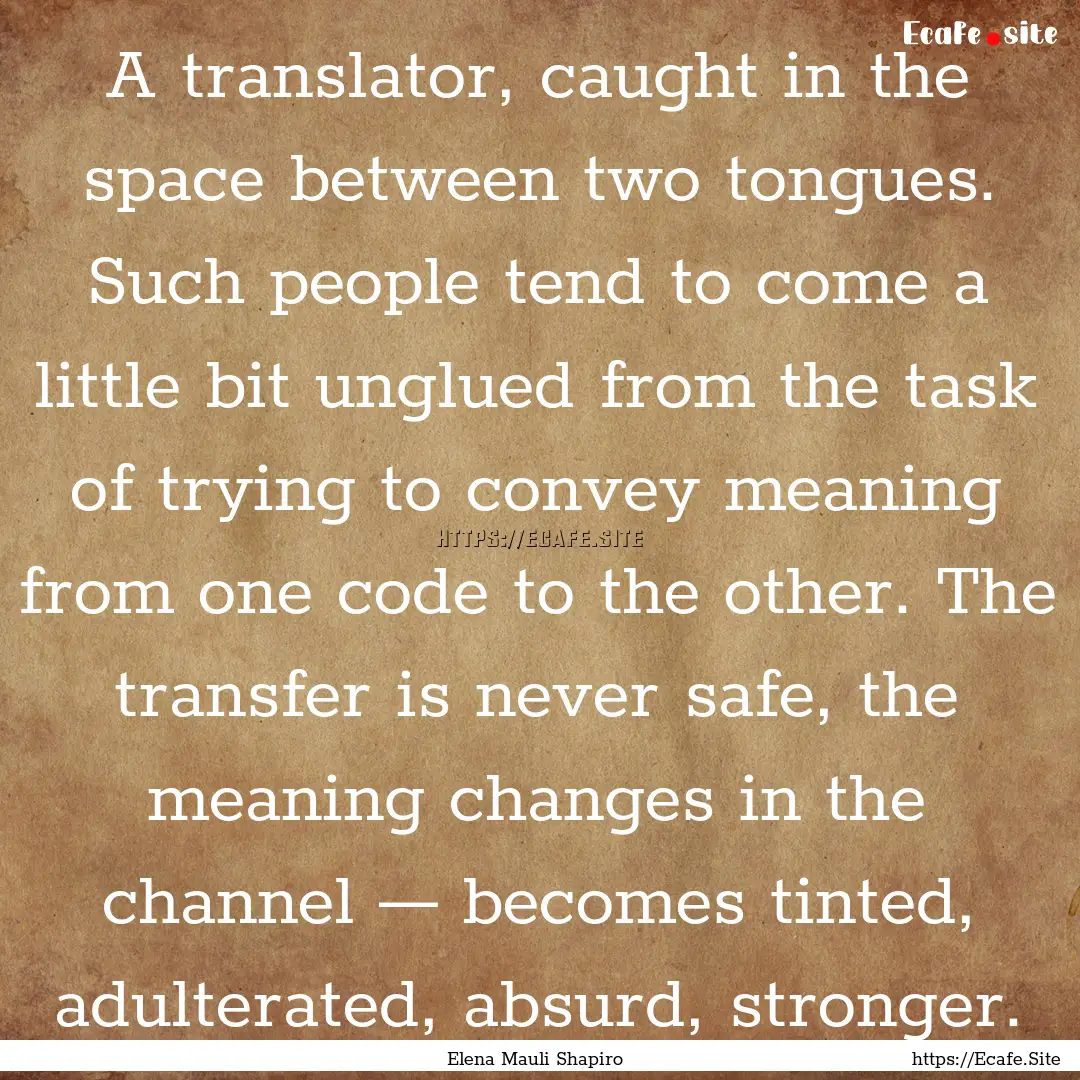 A translator, caught in the space between.... : Quote by Elena Mauli Shapiro