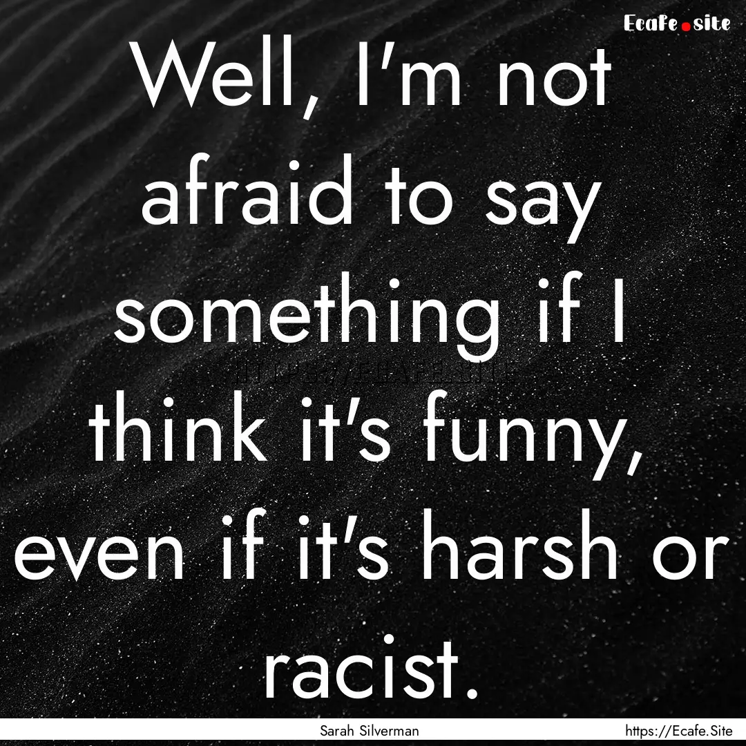 Well, I'm not afraid to say something if.... : Quote by Sarah Silverman