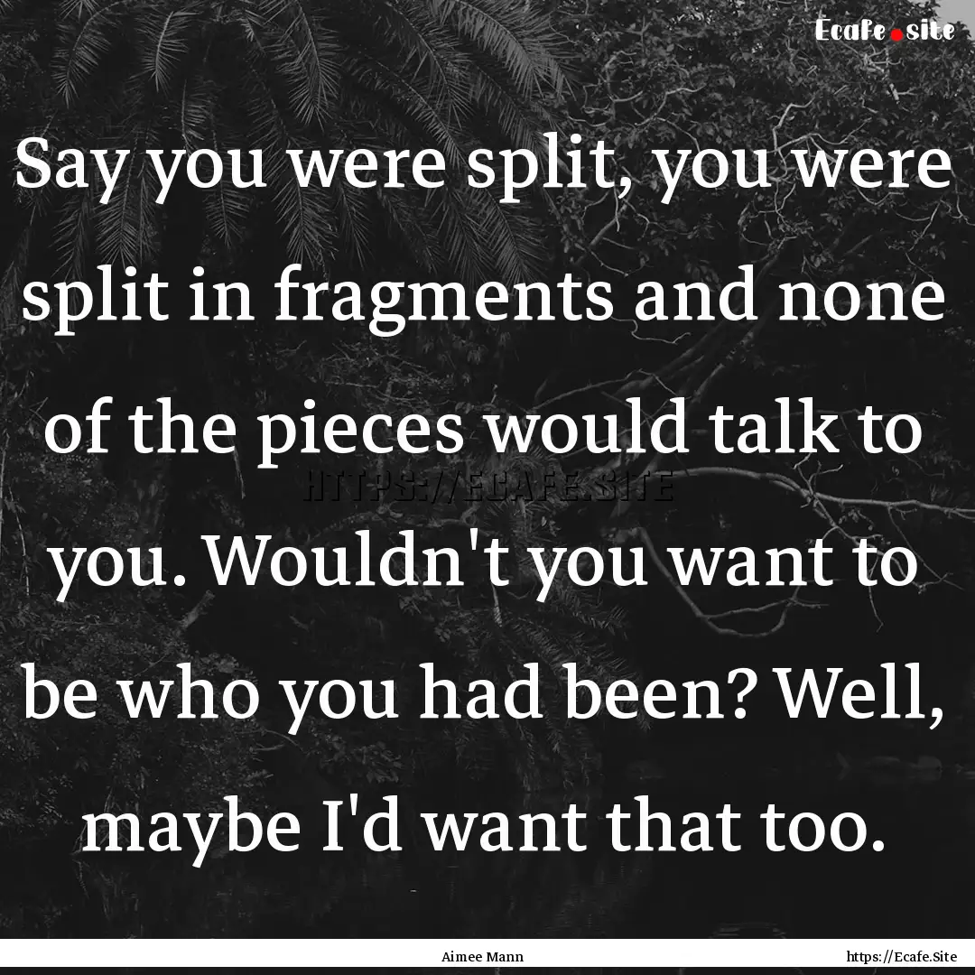 Say you were split, you were split in fragments.... : Quote by Aimee Mann