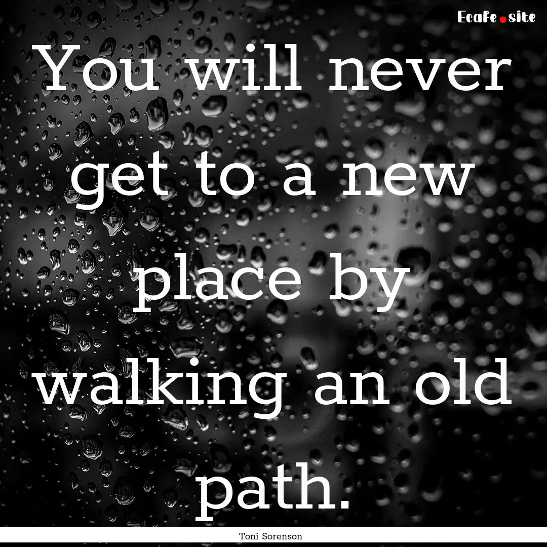 You will never get to a new place by walking.... : Quote by Toni Sorenson