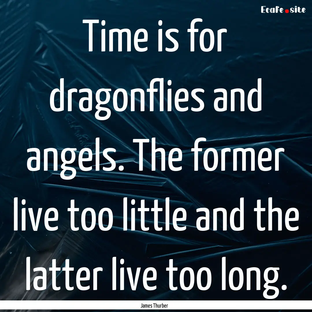 Time is for dragonflies and angels. The former.... : Quote by James Thurber