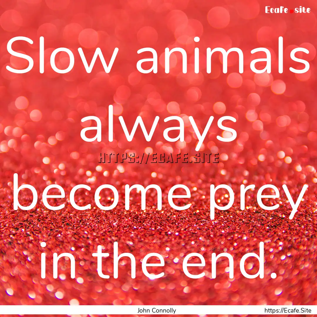 Slow animals always become prey in the end..... : Quote by John Connolly