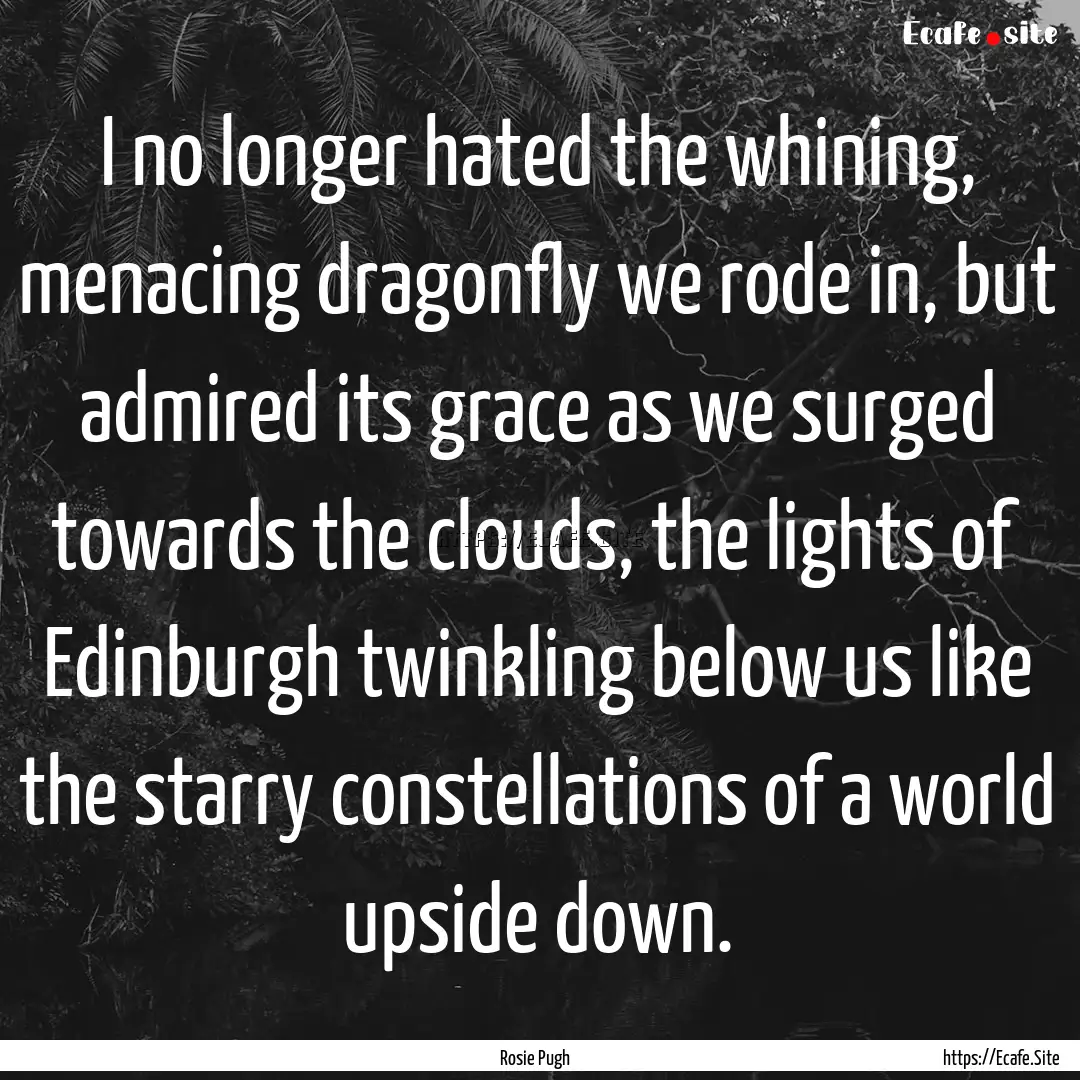 I no longer hated the whining, menacing dragonfly.... : Quote by Rosie Pugh