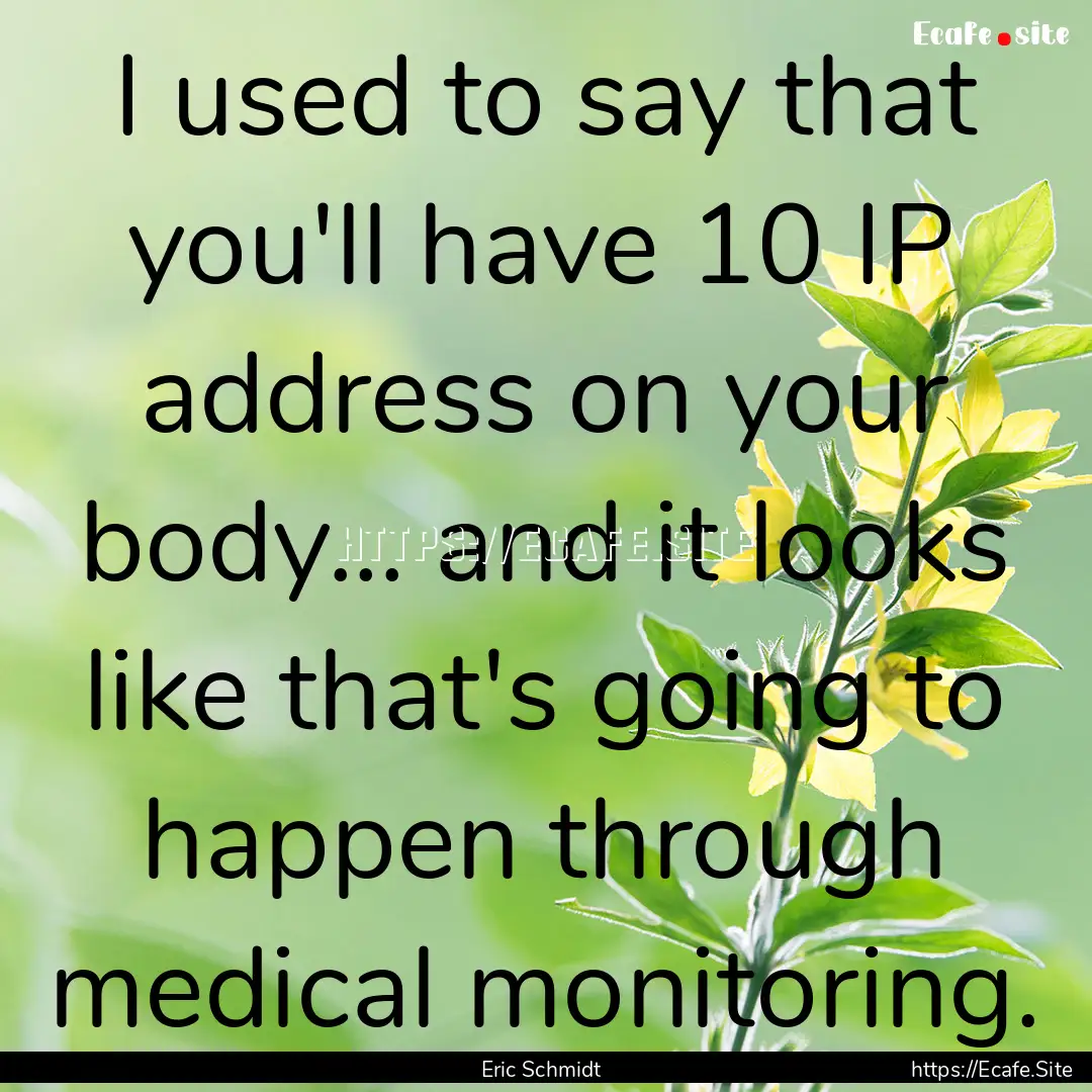 I used to say that you'll have 10 IP address.... : Quote by Eric Schmidt