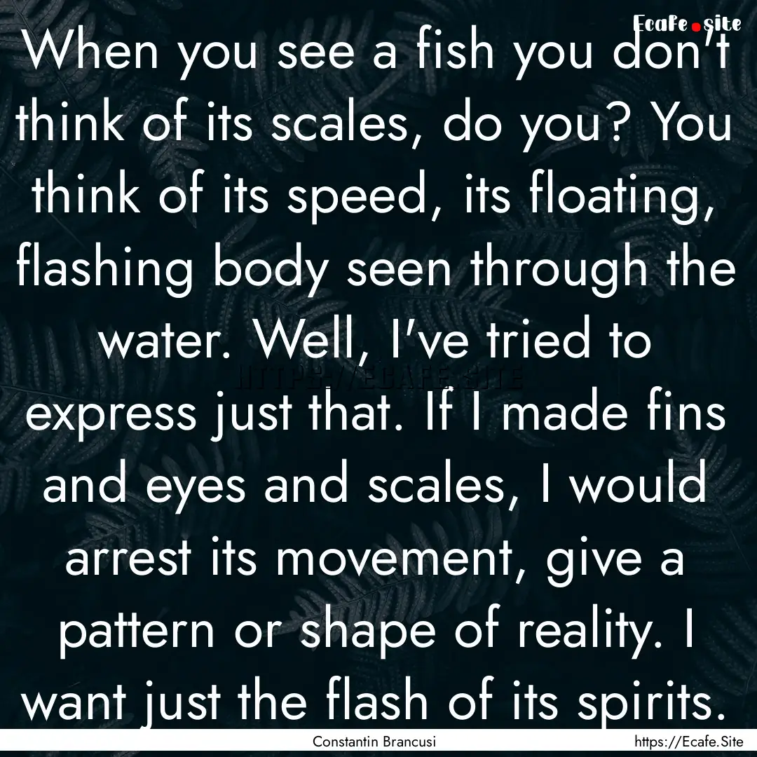 When you see a fish you don't think of its.... : Quote by Constantin Brancusi