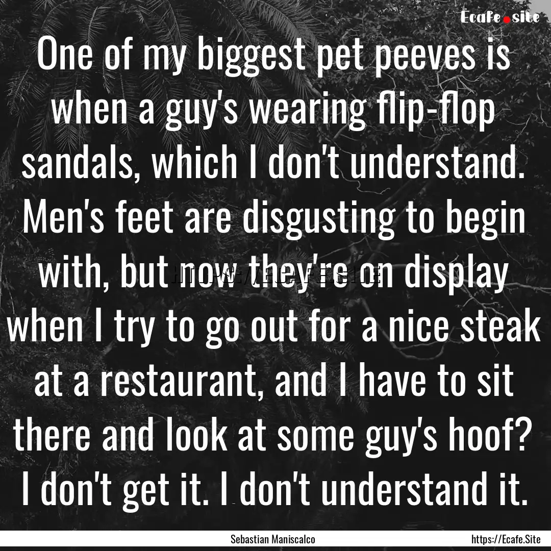 One of my biggest pet peeves is when a guy's.... : Quote by Sebastian Maniscalco