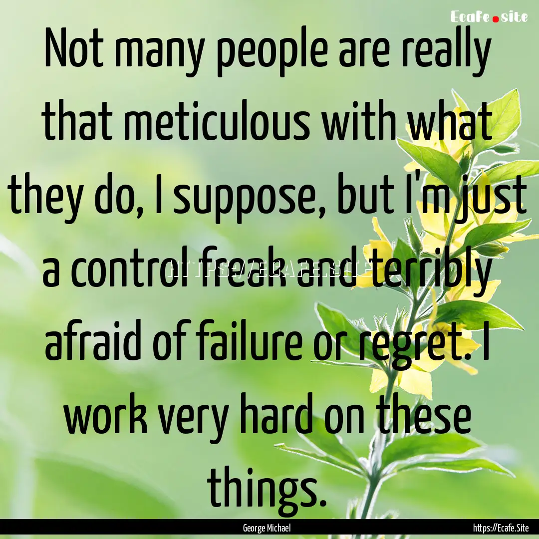 Not many people are really that meticulous.... : Quote by George Michael