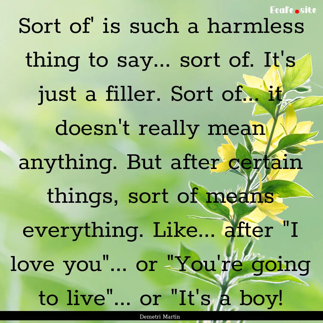 Sort of' is such a harmless thing to say....... : Quote by Demetri Martin