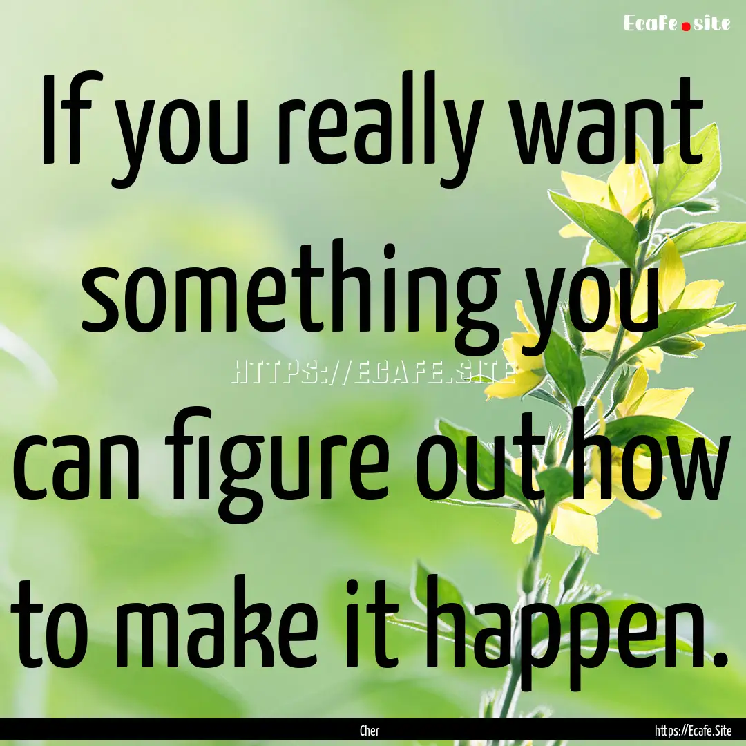 If you really want something you can figure.... : Quote by Cher