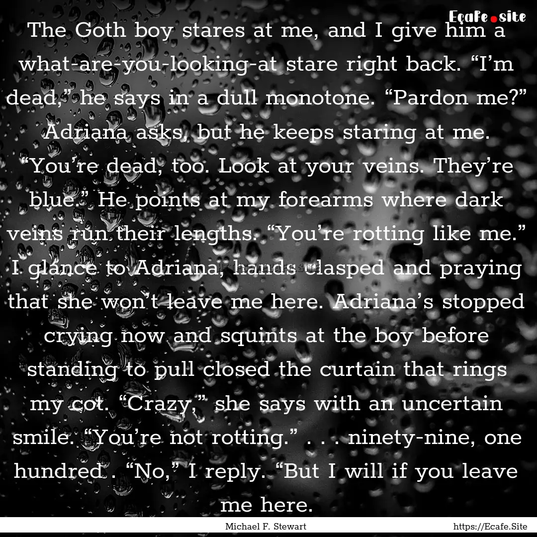 The Goth boy stares at me, and I give him.... : Quote by Michael F. Stewart