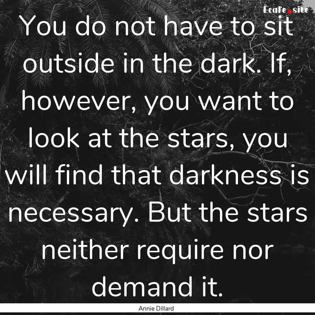 You do not have to sit outside in the dark..... : Quote by Annie Dillard