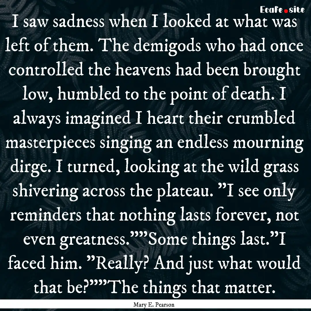 I saw sadness when I looked at what was left.... : Quote by Mary E. Pearson