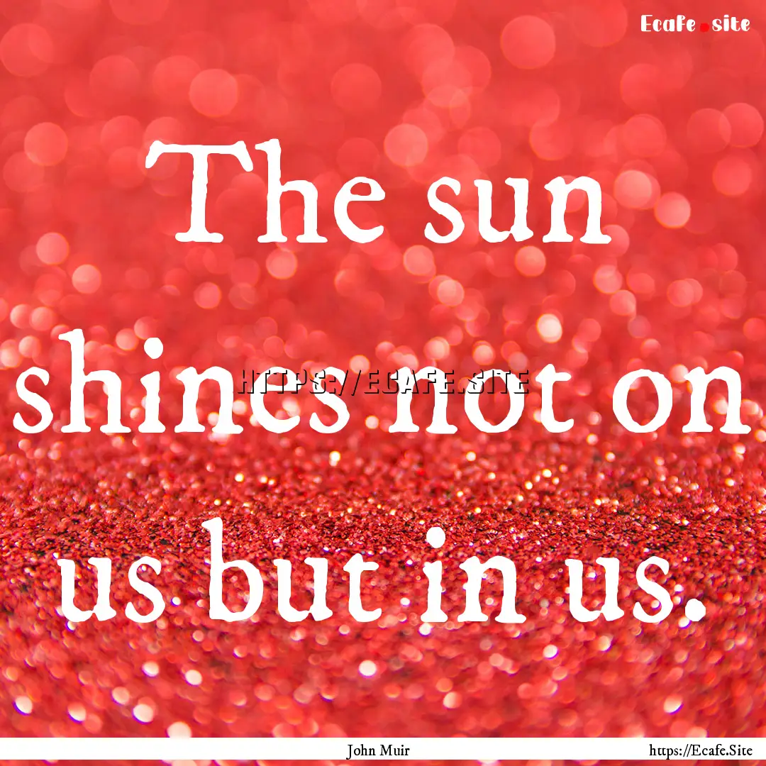 The sun shines not on us but in us. : Quote by John Muir