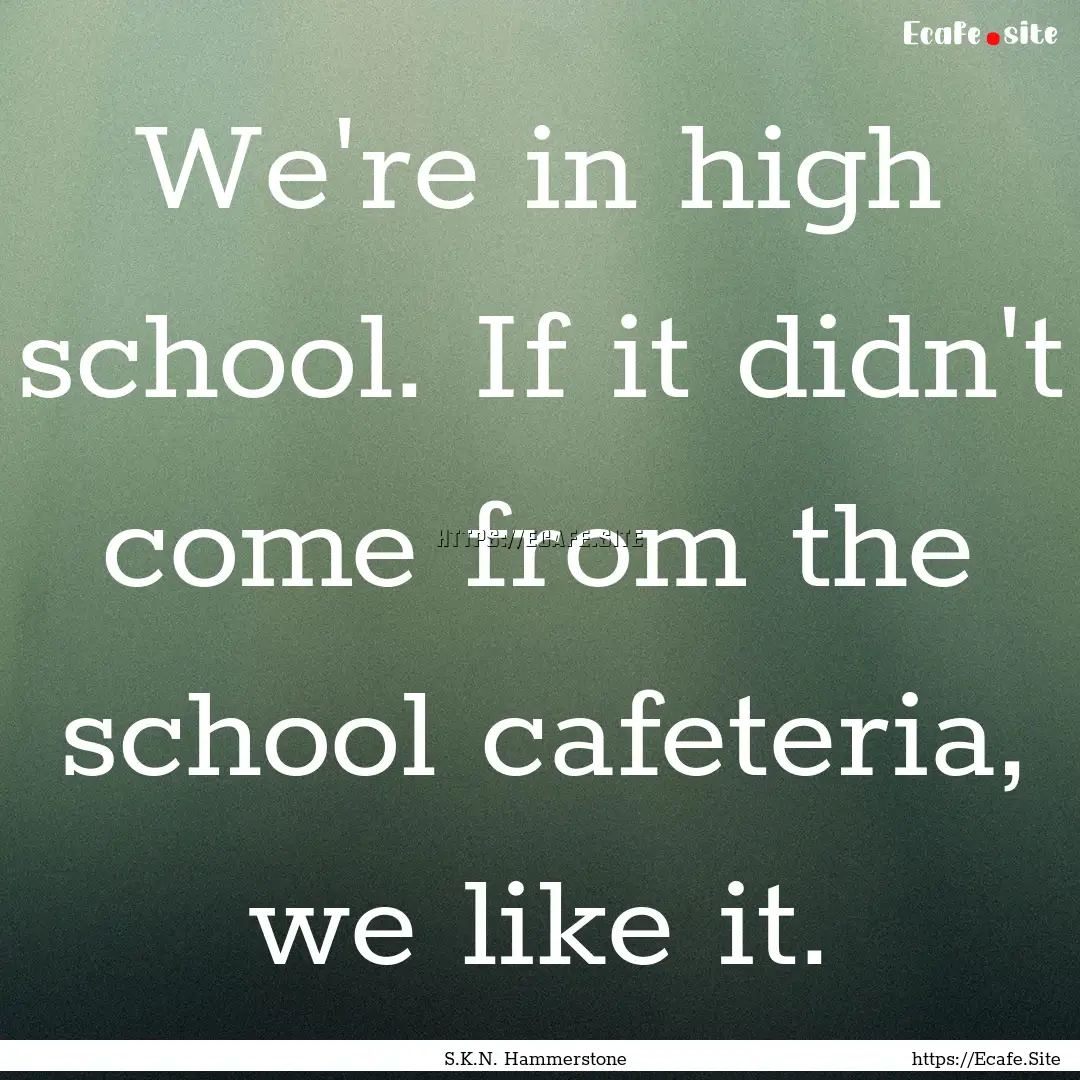 We're in high school. If it didn't come from.... : Quote by S.K.N. Hammerstone