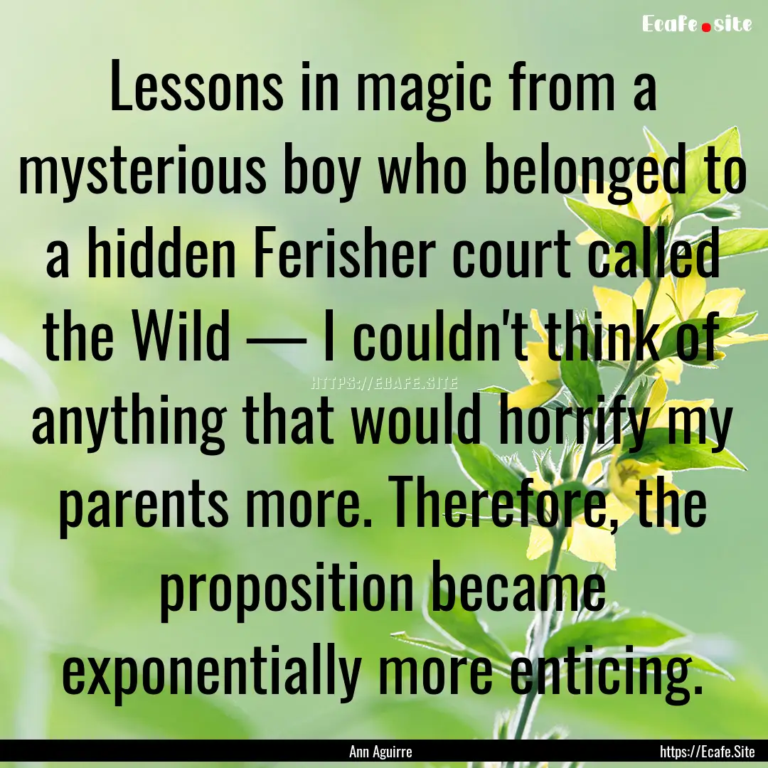 Lessons in magic from a mysterious boy who.... : Quote by Ann Aguirre