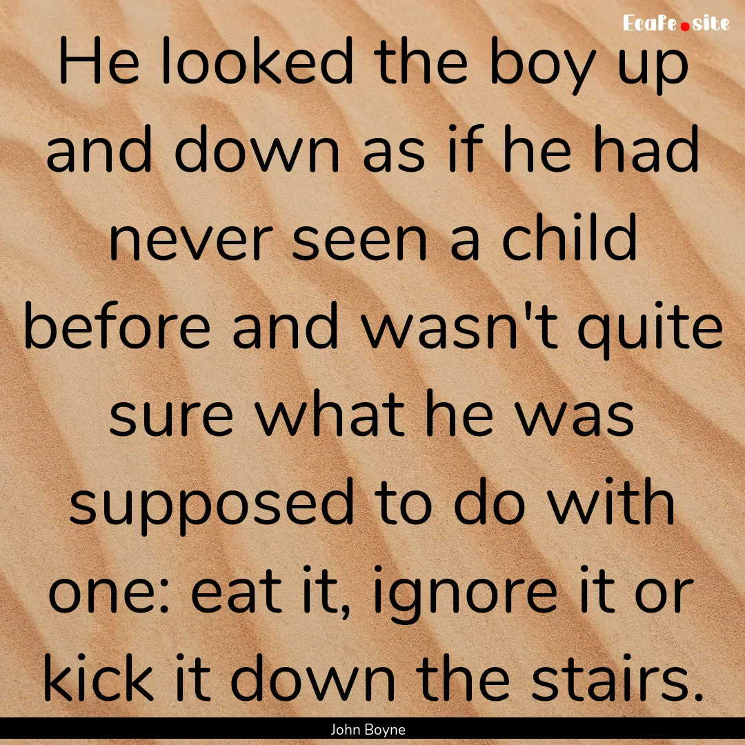 He looked the boy up and down as if he had.... : Quote by John Boyne