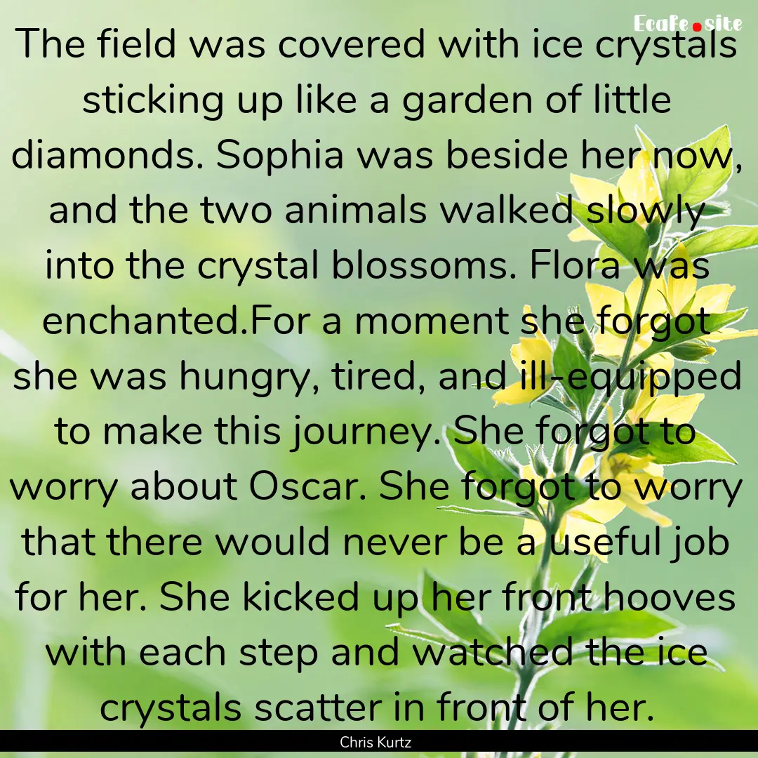 The field was covered with ice crystals sticking.... : Quote by Chris Kurtz