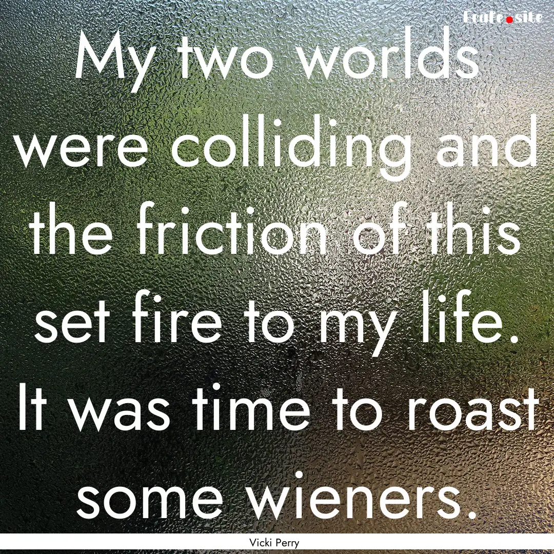 My two worlds were colliding and the friction.... : Quote by Vicki Perry