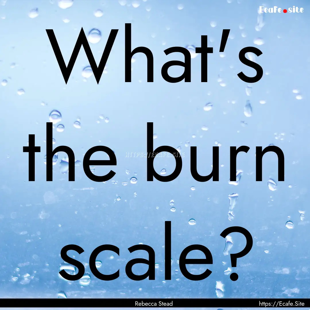 What's the burn scale? : Quote by Rebecca Stead