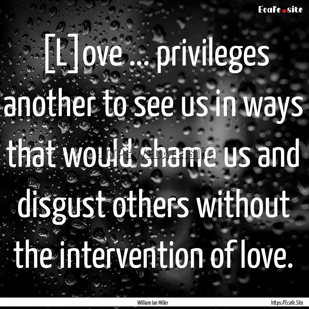 [L]ove ... privileges another to see us in.... : Quote by William Ian Miller