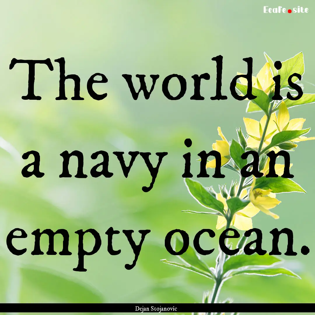 The world is a navy in an empty ocean. : Quote by Dejan Stojanovic