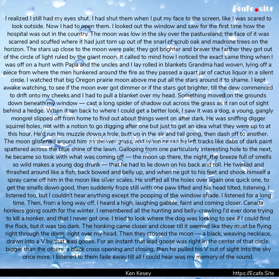 I realized I still had my eyes shut. I had.... : Quote by Ken Kesey